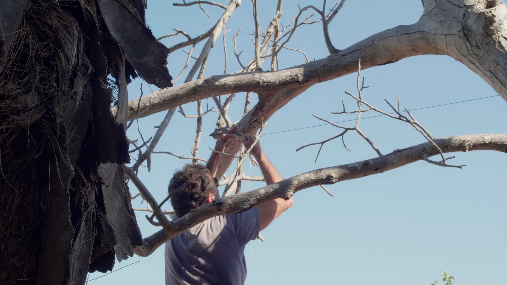 Still 2025-09-26 120829_1.3.1.jpg